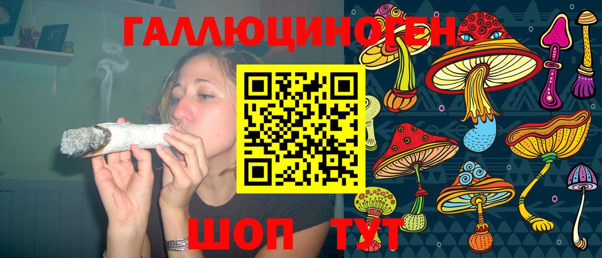 Псилоцибиновые грибы прущие грибы  Вход с VPN  Псилоцибиновые грибы Psilocybine cubensis  Видное 